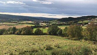 Webdesign og nettsider i Selbu kommune - Trøndelag